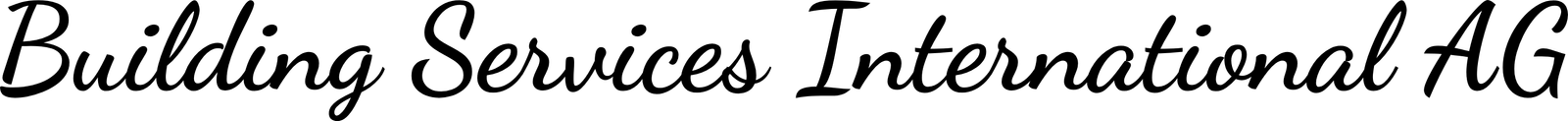 BSI-Holding